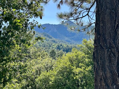 0 Mountain View unit 219139481DA, Idyllwild, CA - photo 4