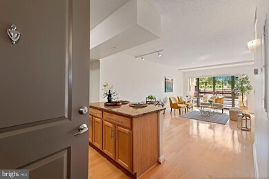 The Aurora Condominiums unit 210, Silver Spring, MD 20910 - photo 6