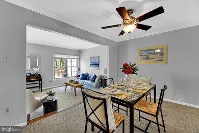 41 Rhodes Place, Lutherville Timonium, MD 21093 - photo 7