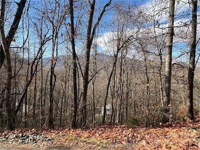 Street view-Alpine Ridge.