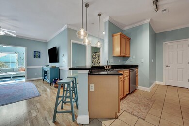 12-web-or-mls-RU4A0691