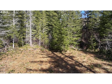 0 Lahar Ln unit 8 20357887, Cougar, WA 98616 - photo 6