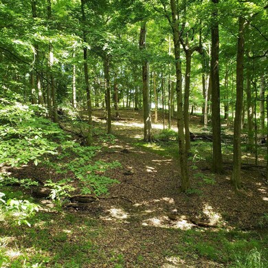 0 Mulberry Rd, Mount Perry, OH 43760 - photo 7