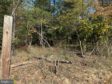 14015 Winchester Grade Rd, Berkeley Springs, WV 25411 - photo 6