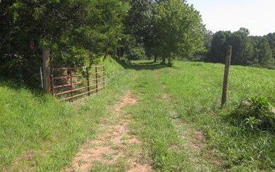 Additional View