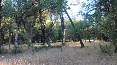 0 Fieldbrook Estates Dr unit 17-559, Redding, CA 96003 - photo 3