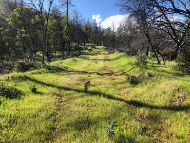 roadway on property