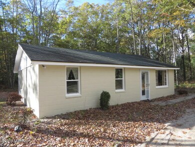 8441 Blair Dr, Bitely, MI 49309 - photo 3