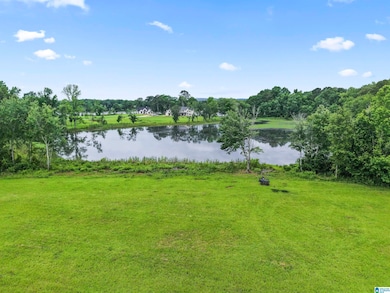 242 Lokey Dr, Wilsonville, AL 35186 - photo 3