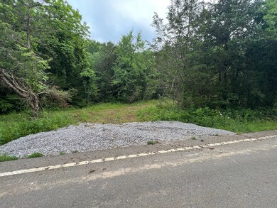 1360 Case Rd, Prospect, TN 38477 - photo 3