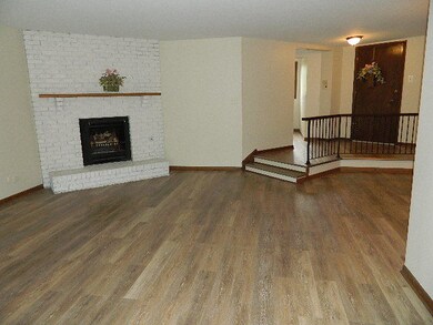 with gas starter on the Fireplace