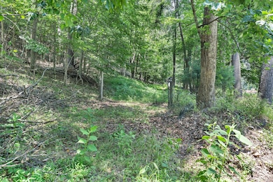 6133 Poor Mountain Rd, Salem, VA 24153 - photo 4