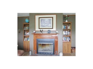 Wood Burning Fireplace
