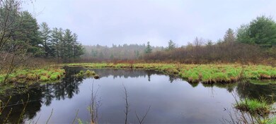 Bingo Drive Extension unit Pork Creek Edwards N, Talcville, NY 13635 - photo 6