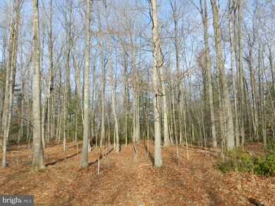 A Hart Ct, Culpeper, VA 22701 - photo 7