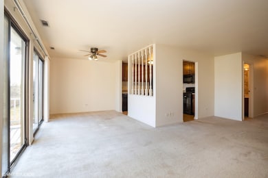 501 Cumberland Trail unit D, Roselle, IL 60172 - photo 3