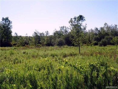 Yard.