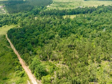 3486 Homer Alto Rd, Pollok, TX 75969 - photo 3