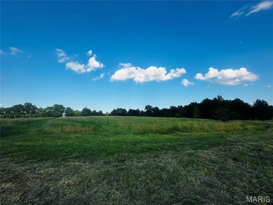TRACT 11A Audrain Road 935, Salt River Township, MO 65265 - photo 5