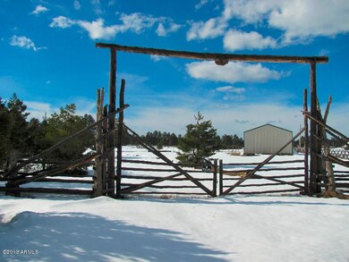 arizona_mountain_pines_property_acreage_