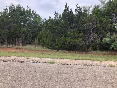 5041 Horseshoe Dr, Whitney, TX 76692 - photo 2