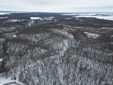 1965 Stringtown Rd, Shoal Creek Township, IL 62086 - photo 3