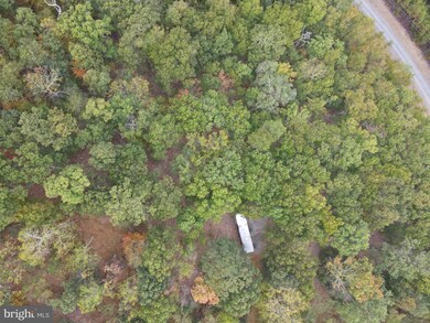 LOT 8 Whitetail Mountain Rd, Romney, WV 26757 - photo 3