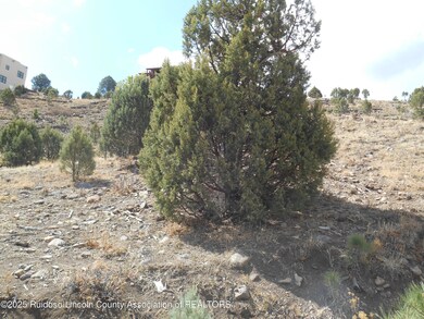 0 Stable unit 132537, Alto, NM 88312 - photo 6