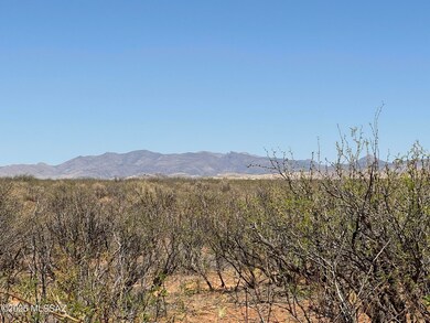 IMG_3945