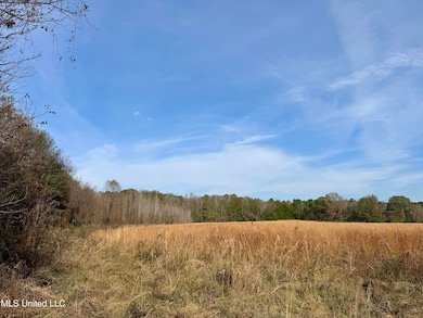 0000 Pisgah Bottom Rd, Canton, MS 39046 - photo 3