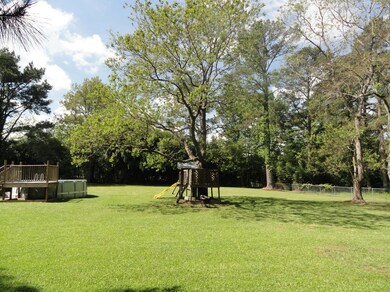 Backyard 1
