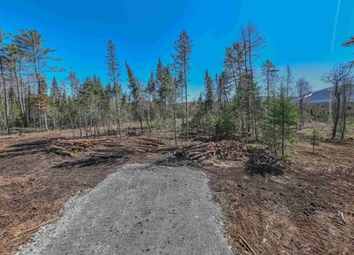 00 Easton Rd unit 4-1.1B, Franconia, NH 03580 - photo 5