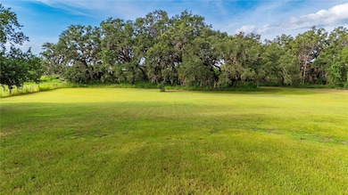 Backyard view!