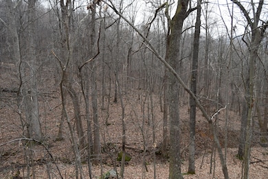 0 Hickory Falls Rd unit 920645, Blue Ridge, VA 24064 - photo 5