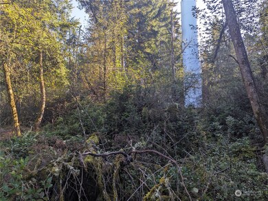 10614 Suncrest Dr, Anderson Island, WA 98303 - photo 5