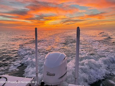 4502 Bahama Dr, Hernando Beach, FL 34607 - photo 4