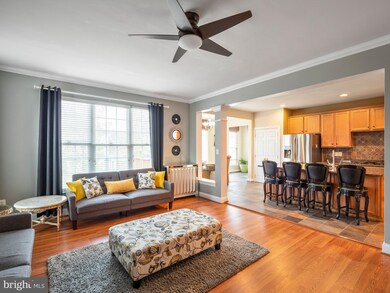 13587 Elysian Dr, Leesburg, VA 20176 - photo 6