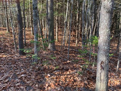 Lot 18 Old Cluff Rd, Kennebunkport, ME 04046 - photo 2