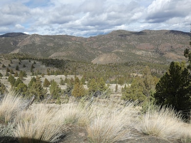 16220 Lost Coyote Ln, Mitchell, OR 97750 - photo 2