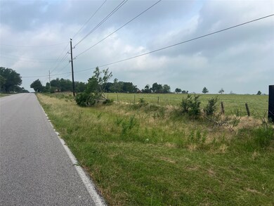 0 Rochen unit 35060089, Waller, TX 77484 - photo 3