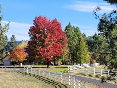 Fall Hardwoods