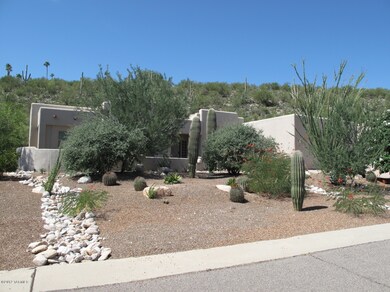 Front yard