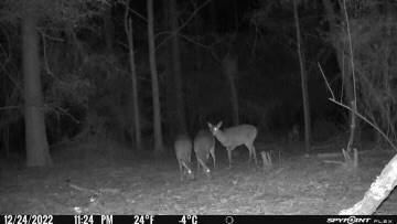 0 Beard Boyd Rd, Tylertown, MS 39667 - photo 2