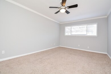 Serene bedroom oasis with ample natural light.
