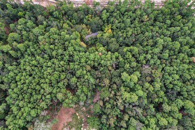 7810 Red Oak Rd, Magnolia, TX 77354 - photo 3