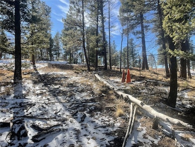 1873 N Mountain Estates Rd unit 55054116, Florissant, CO 80816 - photo 6