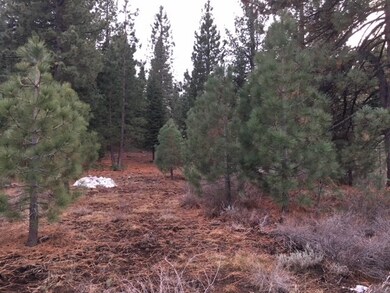View from Silver Spur access point