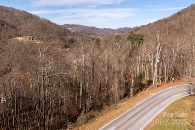 00 Terrys Gap Rd, Fletcher, NC 28732 - photo 3