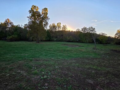 S 201st Rd, El Dorado Springs, MO 64744 - photo 5