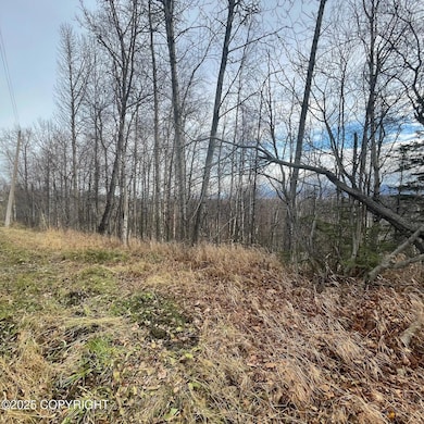 5500 W Birch Harbor Dr, Knik-Fairview, AK 99654 - photo 3